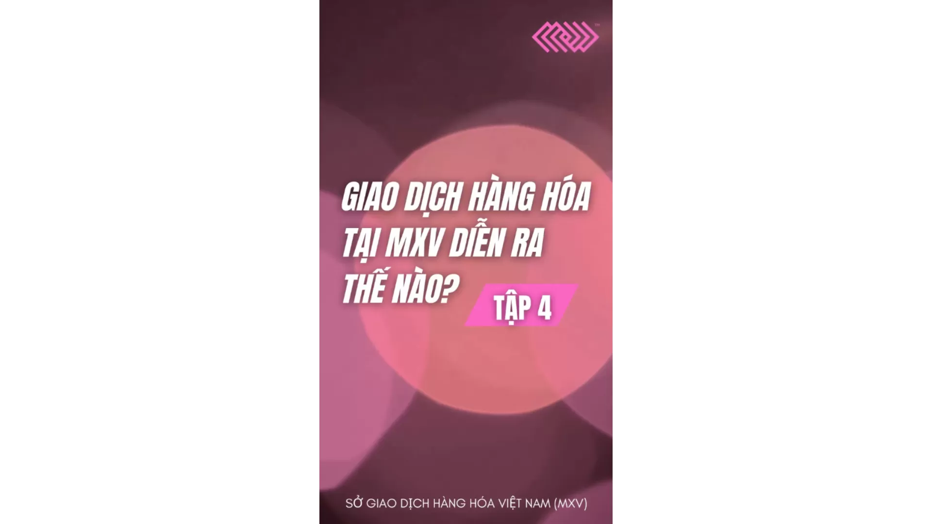 [Tập 4] Giao dịch hàng hoá tại MXV diễn ra thế nào? - Series Giải ngố thị trường